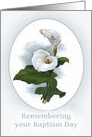 Remembering Baptism Day, Calla Lily, botanical style card