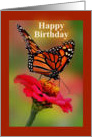 Happy Birthday, Monarch Butterfly card