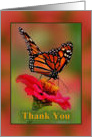 Thank You, with Photograph of Monarch Butterfly card