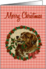 Saint Bernard Christmas Dog, Holly Wreath with Poinsettias card