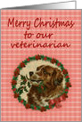 Merry Christmas Veterinarian, Vintage Saint Bernard with Holly Branch card