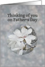 Father’s Day, Thinking of You, White Blossoms card