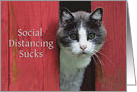 Social Distancing, I Miss You, Cute Sad Cat card