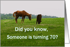 70th Birthday Greeting, Amusing Photograph of a Horse Talking to A Cow card