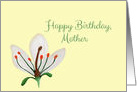 Happy Birthday Mother, Vintage Style Anatomy of a White Lily card