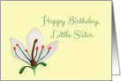 Happy Birthday Little Sister, Simple White Lily Botanical card