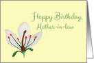 Happy Birthday Mother-In-Law, Simple White Lily Vintage Style Botanica card