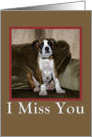 Miss you boxer puppy card
