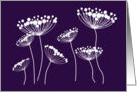 Queen Anne’s Lace white on purple card