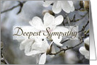 Deepest Sympathy, Blooming Tulip Tree card