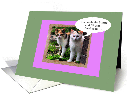 Funny Easter Card Mean Cats card (1030759)