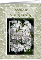 White Phlox Sympathy card