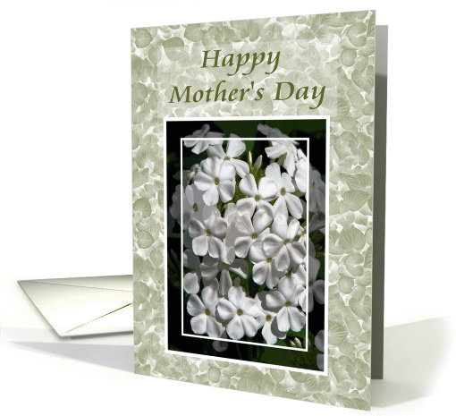 White Phlox Happy Mother's Day card (1060129)