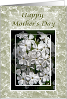 White Phlox Happy Mother’s Day card