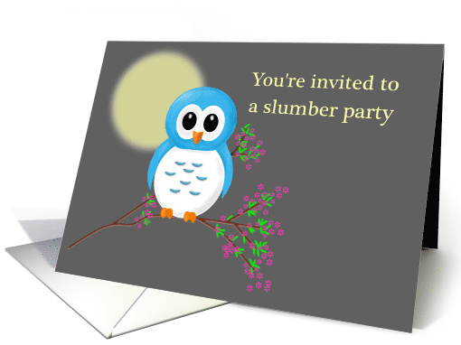 Slumber Party Invitation with Cute Owls card (1073646)