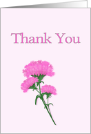 Thank you, Pink Carnations card