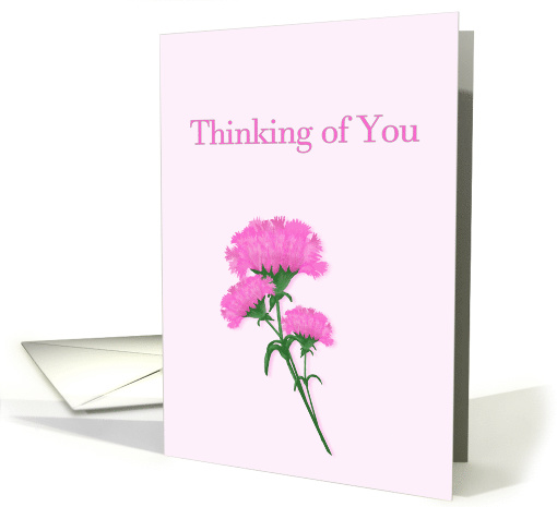 Thinking or you, Pink Carnations card (1083052)