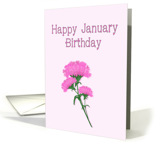 Happy January Birthday, Pink Carnations card (1083112)