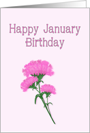 Happy January Birthday, Pink Carnations card