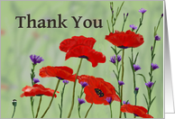 Thank you,Poppies...