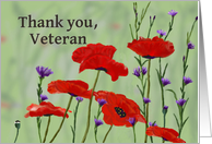 Thank you Veteran,Poppies and Bachelor Buttons card