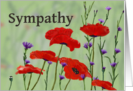 Sympathy,Poppies and...