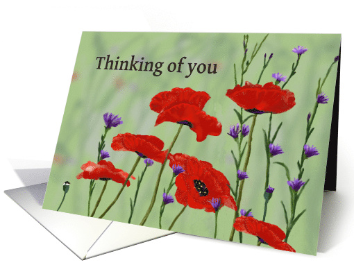 Thinking of you ,Poppies and Bachelor Buttons card (1087324)