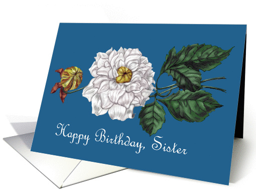 Happy Birthday Sister White Blossom on Bright Blue card (1102496)
