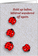 Ladybug Birthday from group card