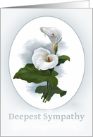 Deepest Sympathy, Calla Lily, Vintage Botanical Style card