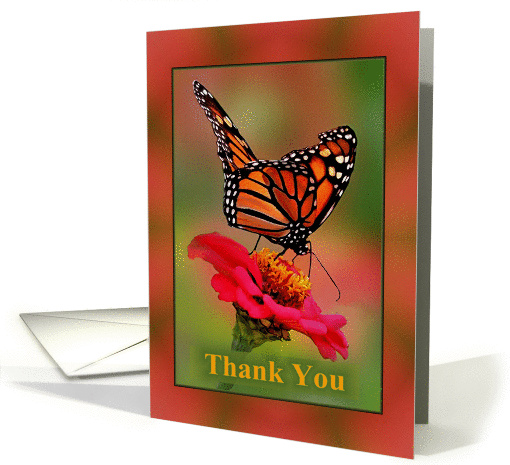 Thank You, with Photograph of Monarch Butterfly card (1382962)