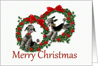Retro Christmas Poodles in Wreaths card