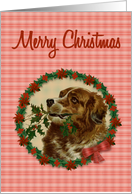 Saint Bernard Christmas Dog, Holly Wreath with Poinsettias card