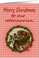 Merry Christmas Veterinarian, Vintage Saint Bernard with Holly Branch card