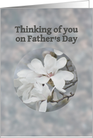 Father’s Day, Thinking of You, White Blossoms card