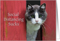 Social Distancing, I Miss You, Cute Sad Cat card