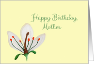 Happy Birthday Mother, Vintage Style Anatomy of a White Lily card