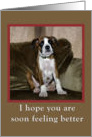 Get well card,boxer puppy card