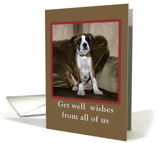 Get well from group,boxer puppy card (749920)