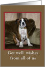 Get well from group,boxer puppy card