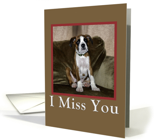 Miss you boxer puppy card (749923)
