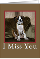 Miss you boxer puppy card