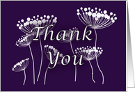 Thank You, Graphic drawing of Queen Anne’s lace, White on purple card