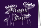 Thank You, Graphic drawing of Queen Anne’s lace, White on purple card