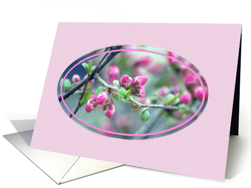Note card, Pink Flower Buds,blank inside card (791570)