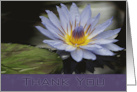 Thank You Lavender Water Lily with reflection and lily pad leaf card