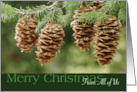 From All of Us Merry Christmas Multiple Pine Cones with Pine Boughs card