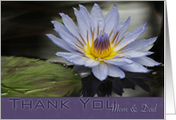 Thank You Mom and Dad Lavender Water Lily with Lily Pad card