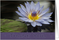 Thank You Lavender Water Lily with reflection and lily pad leaf card