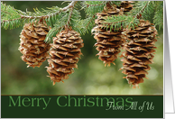 From All of Us Merry Christmas Multiple Pine Cones with Pine Boughs card
